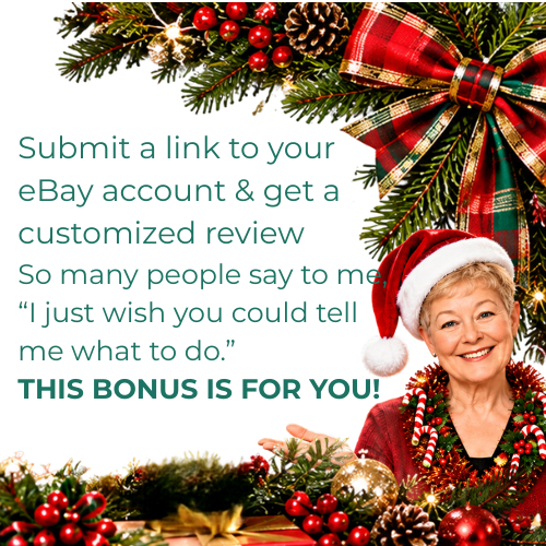 Fast Action Bonus eBay Review