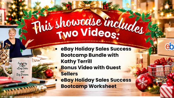 Holiday Sales Success Video Bundle